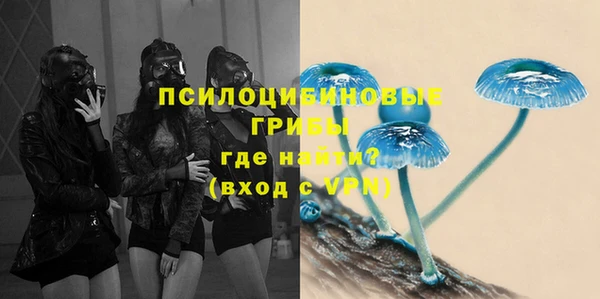 гидропоника Переславль-Залесский