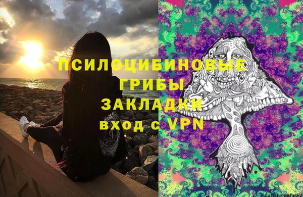 ПСИЛОЦИБИНОВЫЕ ГРИБЫ Алзамай