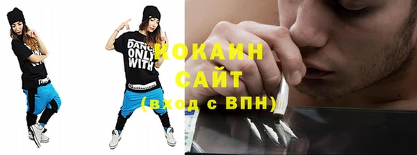 тгк Пересвет