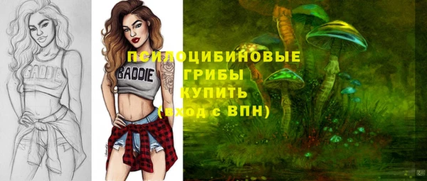 СК Абдулино