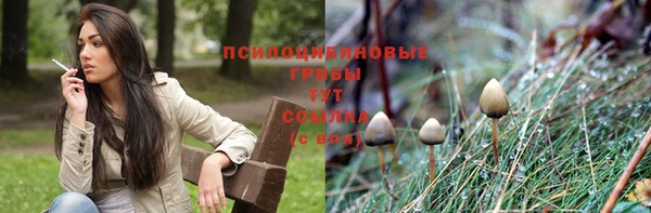 ПСИЛОЦИБИНОВЫЕ ГРИБЫ Алзамай