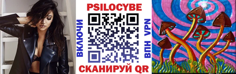 где можно купить наркотик  Искитим  Галлюциногенные грибы Psilocybine cubensis 